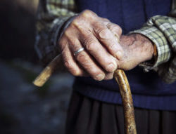 Old hands with walking stick